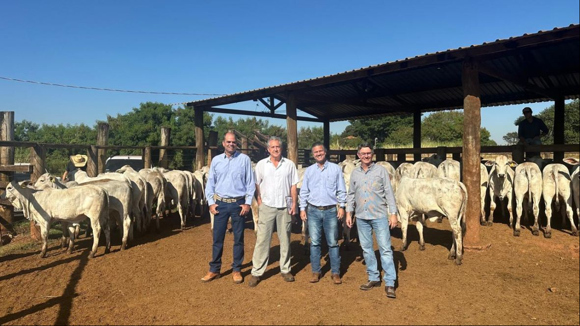 Visita técnica da ABCZ destaca resultados do PMGZ na Esalq/USP