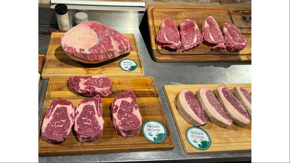 Ícones da culinária espanhola apreciam carne de Zebu brasileiro