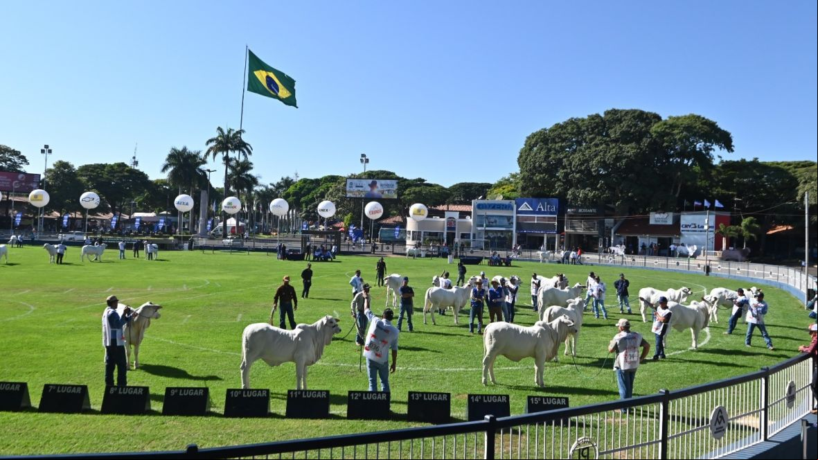 90ª ExpoZebu: Parque Fernando Costa tem argolas 100% ocupadas