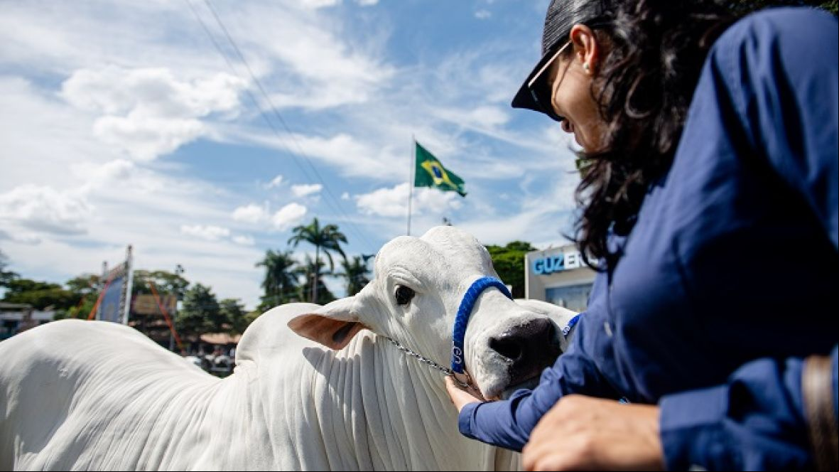 88ª ExpoZebu: integrada, moderna e conectada com o público