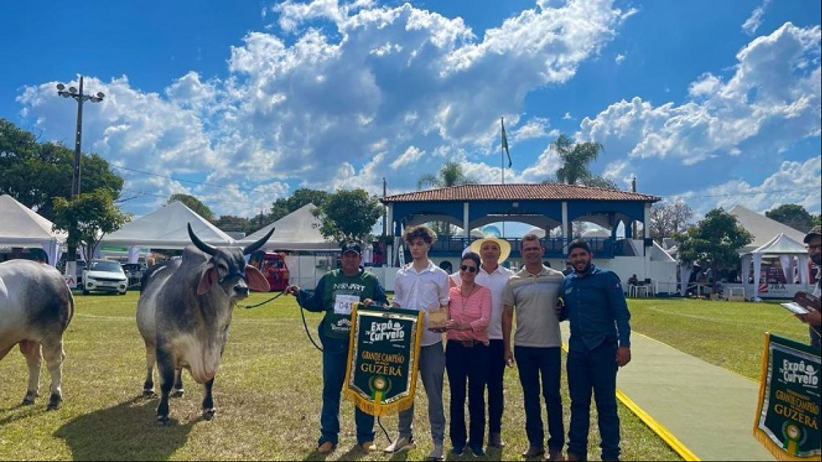 Touro Guzerá classificado no PNAT é eleito Grande Campeão da Expô Curvelo
