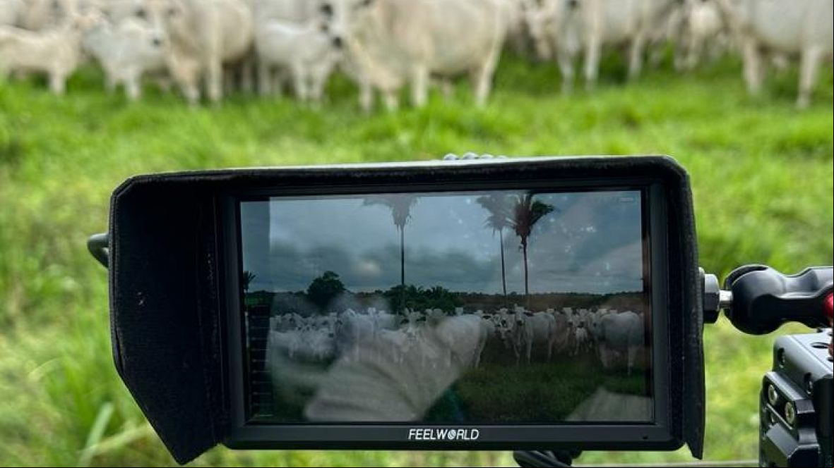 Rota do PMGZ: primeira temporada de 2024 alcança todo o estado do Tocantins, de norte a sul