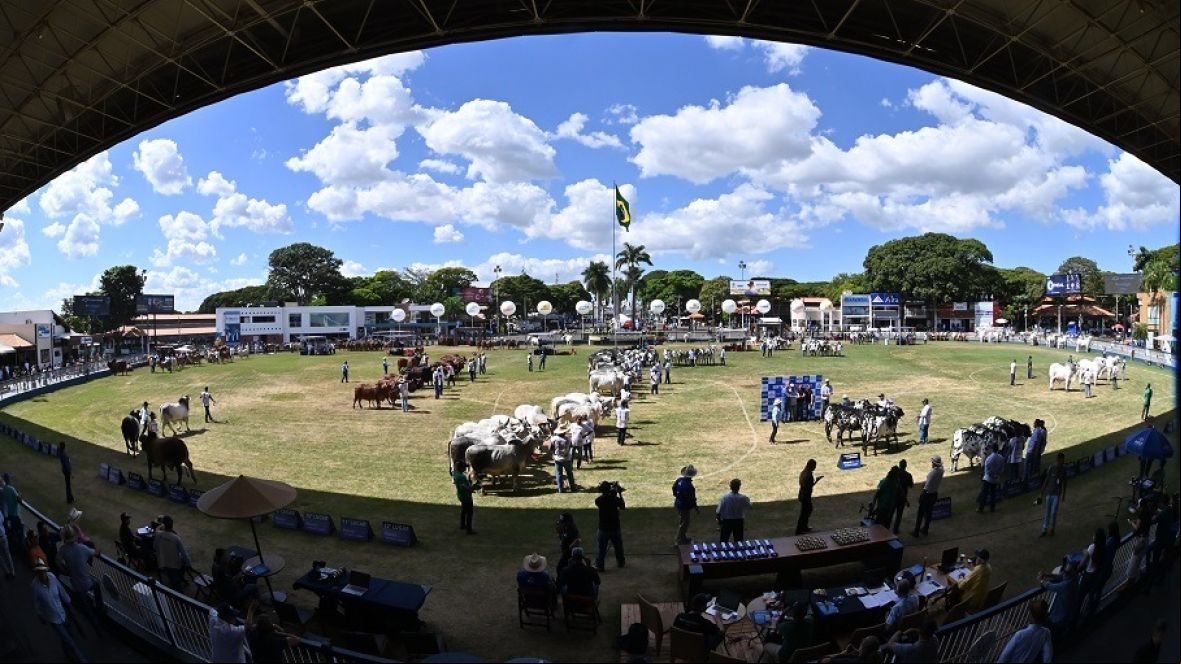 90ª ExpoZebu: número de animais inscritos já supera 2.580