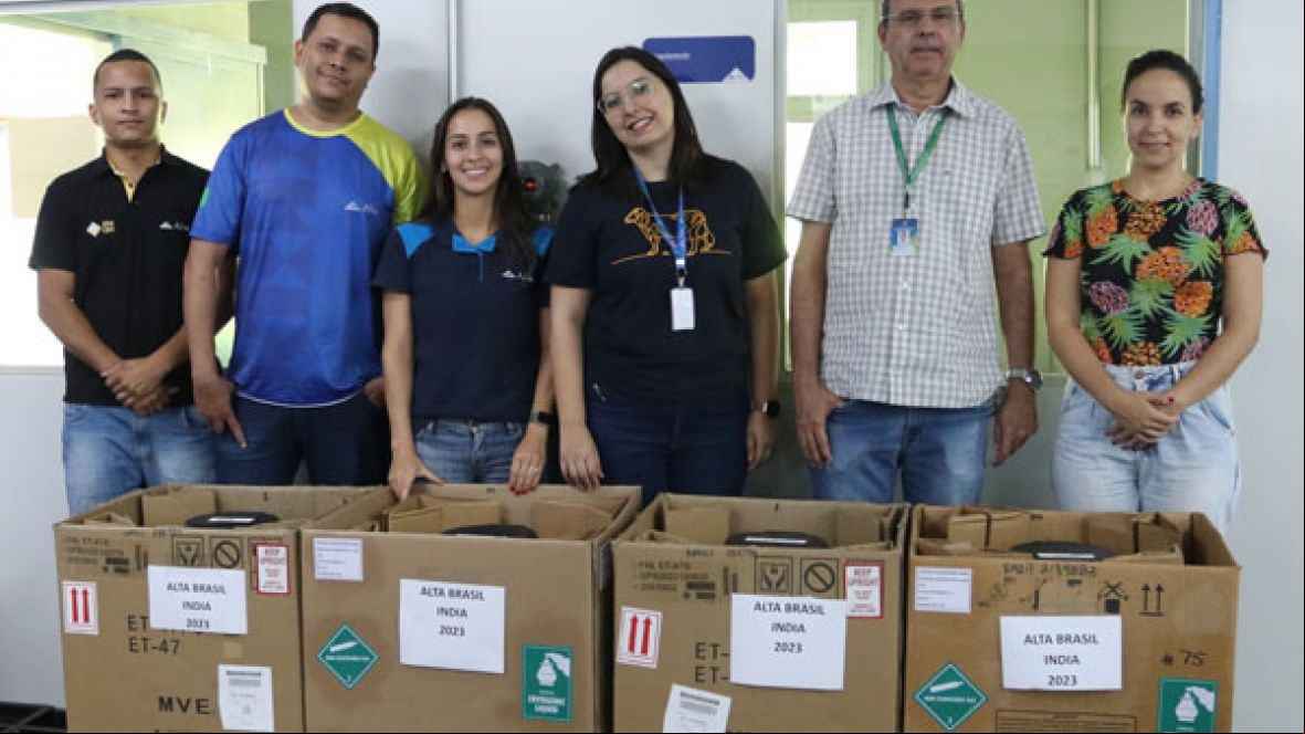 Gir Leiteiro: Brasil realiza maior exportação de genética bovina para a Índia
