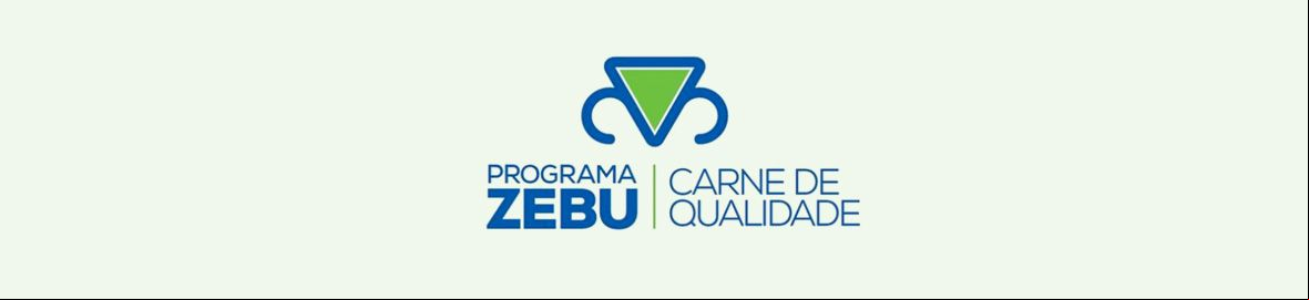 Imagem de capa